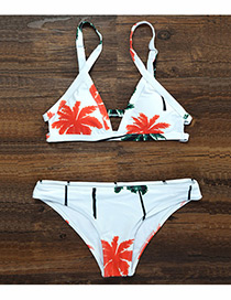 Sexy Orange+white Coconut Leaf Decorated Swimwear