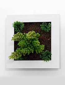 Fashion Light Green Succulent Plants Decorated Wall Hanging