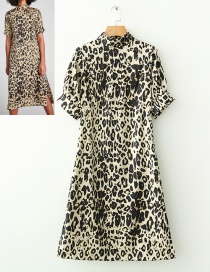 Fashion Brown Leopard Pattern Decorated Long Dress