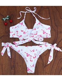 Fashion Pink Flamingo Pattern Decorated Swimwear