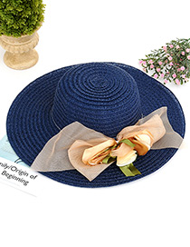 Fashion Navy Bowknot Shape Decorated Hat