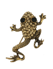 Fashion Gold Color Frog Shape Decorated Brooch