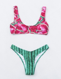 Sexy Multi-color Watermelon Pattern Pattern Design Swimwear