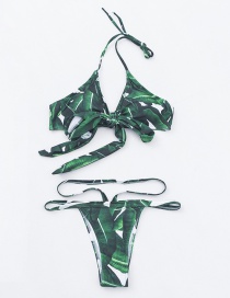 Sexy Green Leaf Pattern Design Split Swimwear