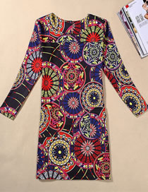 Fashion Multi-color Flower Pattern Decorated Long Sleeves Dress