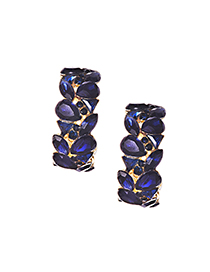 Elegant Blue Full Diamond Design Round Shape Earrings
