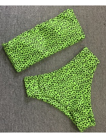 Fashion Green Leopard Tube Top High Waist Split Swimsuit