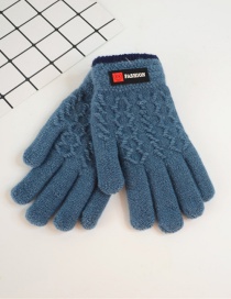 Fashion Gray-blue Badge Plus Velvet Finger Gloves