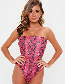 Fashion Rose Red Snake Skin One-piece Swimsuit