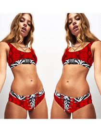 Fashion Red Snakeskin Socket Swimsuit Split