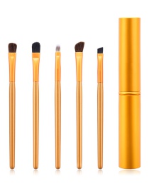 Fashion Gold 5-pack Eye Makeup Brush