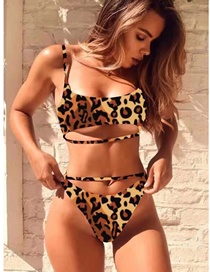 Fashion Color Leopard Split Swimsuit