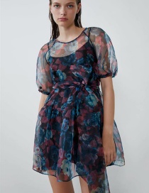Fashion Color Printed Transparent Dress (two-piece)