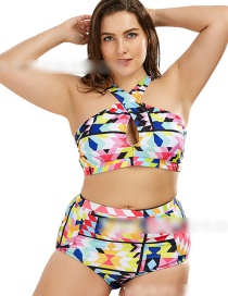 Color Printed Striped High Waist Split Swimsuit