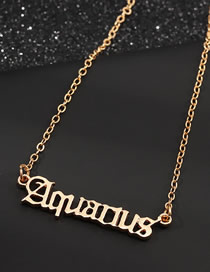 Fashion Golden Aquarius Letter Necklace