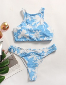 Fashion Blue Plant Print Split Bikini
