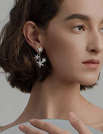Fashion Silver Snowflake Mosaic Earrings With Diamonds