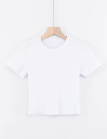 Fashion White Crew Neck Knit T-shirt