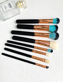 Fashion Black 8 Wooden Makeup Brush Set