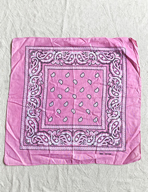 Fashion Pink Border Cashew Print Scarf