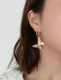 Fashion Golden Hollow Butterfly Alloy Geometric Earrings
