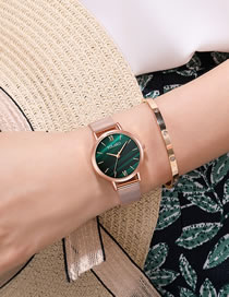 Fashion Green Quartz Ladies Watch With Mesh Scale Marble