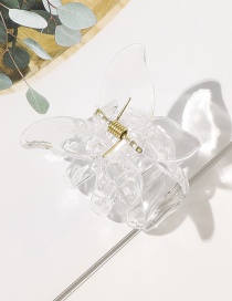 Fashion Transparent Butterfly Shape Resin Hollow Gripper