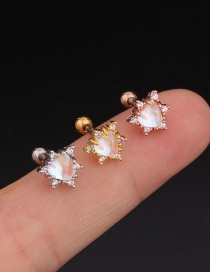 Fashion Rose Gold 1# Stainless Steel Threaded Geometric Earrings With Zircon Flowers