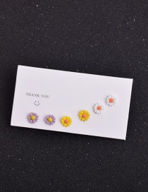 Fashion Flowers Fruit Daisy Flower Geometric Clay Earrings Set
