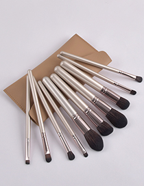Fashion Brown Set Of 10 Khaki Premium Makeup Brushes With Leather Case