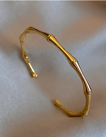 Fashion Gold Titanium Bamboo Open Bracelet