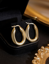 Fashion Gold Titanium Gold Plated Oval Earrings