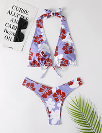 Fashion 3# Printed Halterneck Tie Swimsuit