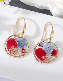 Fashion Round Transparent Preserved Flower Round Earrings