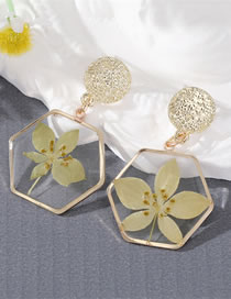 Fashion Yellow Resin Hexagon Preserved Flower Stud Earrings
