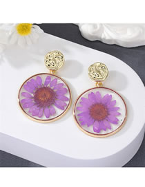 Fashion Purple Transparent Dried Flower Round Stud Earrings