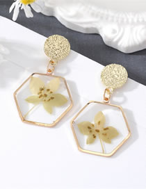 Fashion Hexagonal Flowers 3 Resin Dried Flower Polygon Stud Earrings
