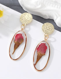 Fashion Oval Rose Resin Dried Flower Oval Stud Earrings