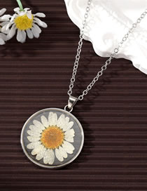 Fashion Necklace Silver Daisy Resin Dried Flowers Round Necklace