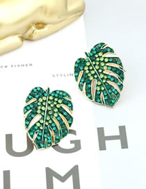 Fashion Green Alloy Diamond Drop Oil Leaf Stud Earrings
