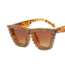 Fashion Leopard Double Tea Pc Diamond Cat Eye Sunglasses