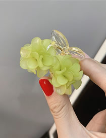 Fashion Fruit Green Flower Acrylic Flower Clip