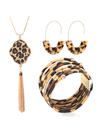 Fashion Leopard Print Suit Leopard Print Tassel Resin Geometric Earrings Necklace Bracelet