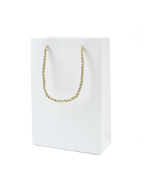 Fashion White [no Logo] Gold Coloren Hand Strap Unmarked Gift Box Tote Bag