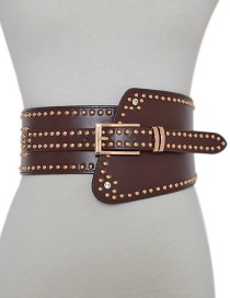 Fashion Coffee Color Elastic Pin Buckle Belt With Willow Studs