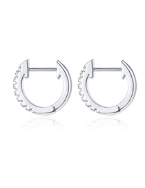 Fashion Silver Stainless Steel Inlaid Zirconium Geometric Earrings