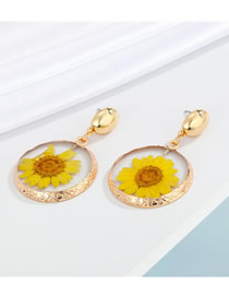 Fashion Round Sun Flower Earrings Resin Round Dried Flower Earrings