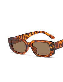Fashion Leopard Tea Tablets Children's Small Frame Sunglasses