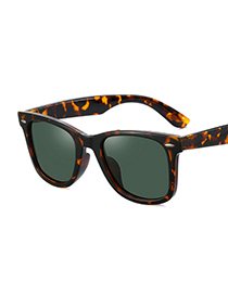 Fashion Leopard/g15 Square Polarized Sunglasses