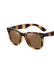 Fashion Huang Liuli/whole Tea Square Polarized Sunglasses